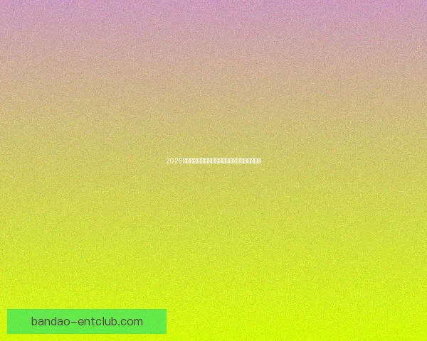 2026世界杯决赛前后精彩赛事盘点与全球球迷热情回顾